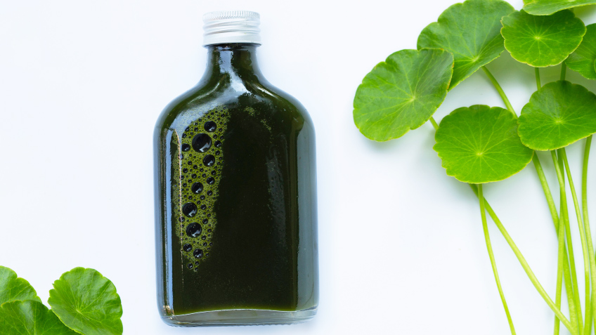 Centella asiática: qué es y para qué sirve