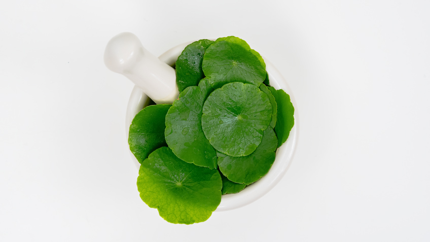 Centella asiática: qué es y para qué sirve