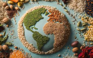 Seed Cycling: Mejora tu balance hormonal