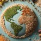 Seed Cycling: Mejora tu balance hormonal